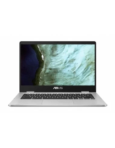 ASUS Chromebook C423NA-EB0354 notebook portatile 35,6 cm (14") Full HD Intel® Celeron® N 4 GB LPDDR4-SDRAM 64 GB eMMC Wi-Fi 5