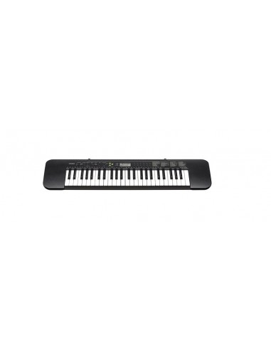 Casio CTK-240 tastiera MIDI 49 chiavi Nero, Bianco